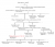 Family Tree